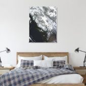 Fog en sneeuw in British Columbia Canvas Afdruk (Insitu (Slaapkamer))