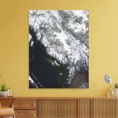 Fog en sneeuw in British Columbia Canvas Afdruk (Insitu (Woonkamer))