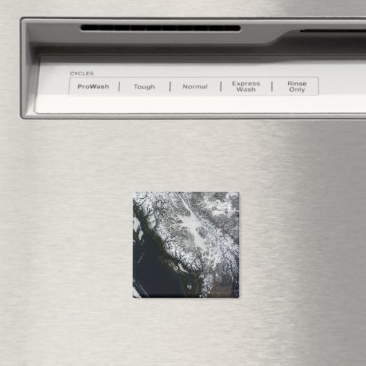 Fog en sneeuw in British Columbia Magneet (Insitu (Vaatwasser))