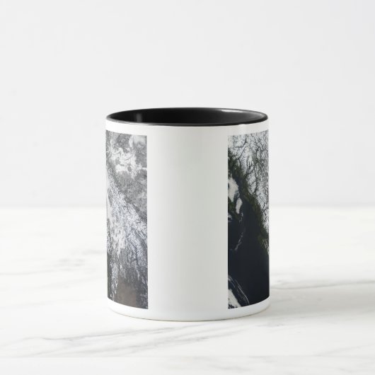 Fog en sneeuw in British Columbia Mok (Midden)