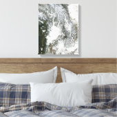 Fog en sneeuw in het noordwesten van de Stille Oce Canvas Afdruk (Insitu (Slaapkamer))
