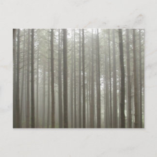 Fog Forest Briefkaart