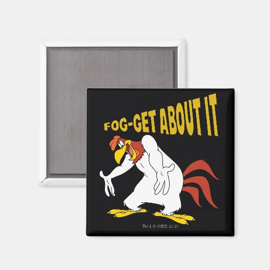 Fog-get over het magneet (Voorkant / Achterkant)