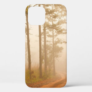Fog in pijnboombos, mooi, zwart, donker, dageraad Case-Mate iPhone case