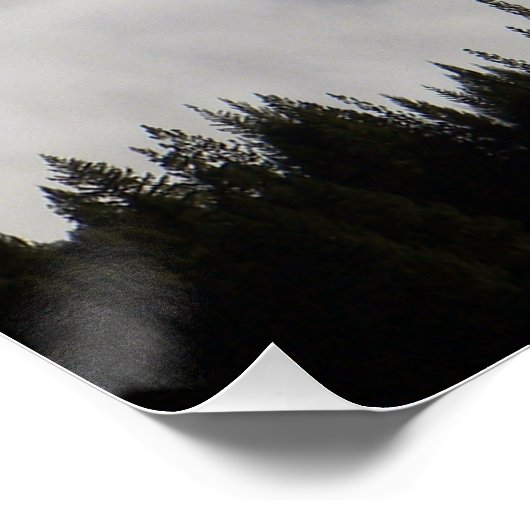 Fog-meer door bomen... poster (Hoek)