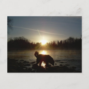 Fog over Mississippi Briefkaart