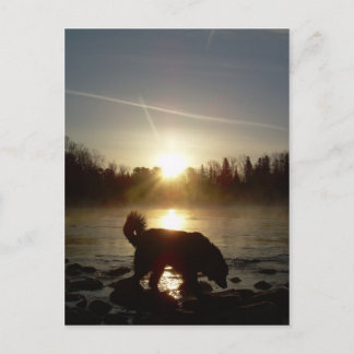 Fog over Mississippi Briefkaart