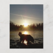 Fog over Mississippi Briefkaart (Voorkant)