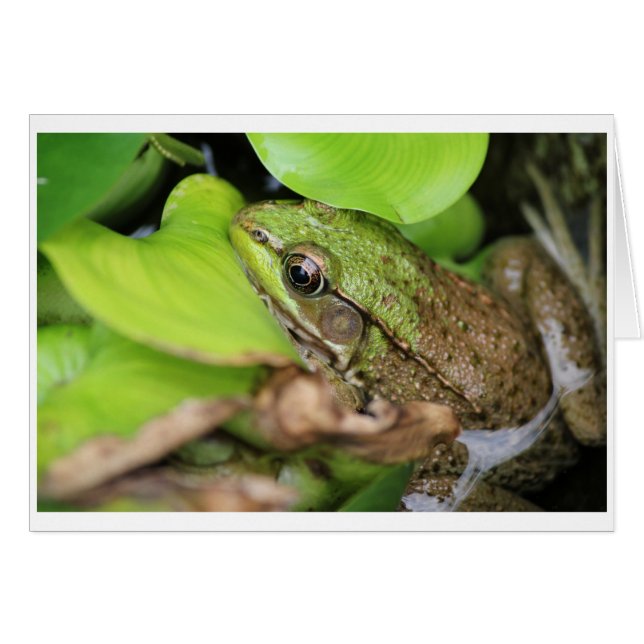 Fog Pince - Pin (Voorkant Horizontaal)