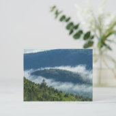 Fog Streaming by Connors Nubble, Acadia NP, Maine Briefkaart (Staand voorkant)