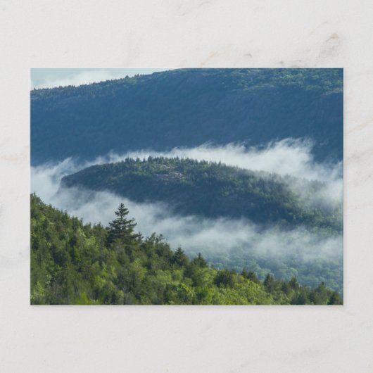 Fog Streaming by Connors Nubble, Acadia NP, Maine Briefkaart (Voorkant)