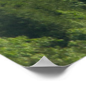 Fog Streaming by Connors Nubble, Acadia NP, Maine Poster (Hoek)