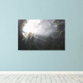 Fog & Sun Beams in een Washington Forest Canvas Afdruk (Insitu (Houten vloer))