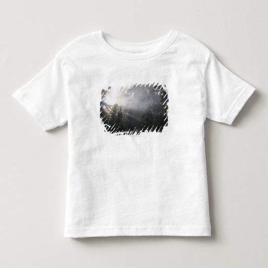 Fog & Sun Beams in een Washington Forest Kinder Shirts (Voorkant)