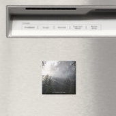 Fog & Sun Beams in een Washington Forest Magneet (Insitu (Vaatwasser))