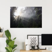 Fog & Sun Beams in een Washington Forest Poster (Thuiskantoor)
