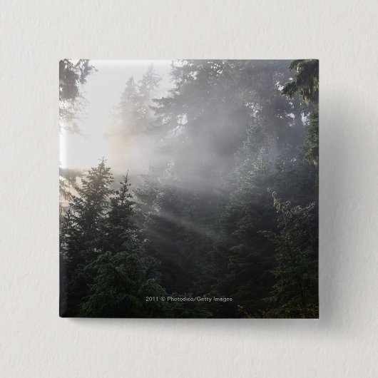Fog & Sun Beams in een Washington Forest Vierkante Button 5,1 Cm (Voorkant)