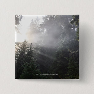 Fog & Sun Beams in een Washington Forest Vierkante Button 5,1 Cm