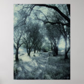 Fog van Dawn Poster (Voorkant)