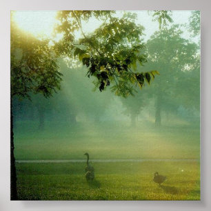 foggisch poster