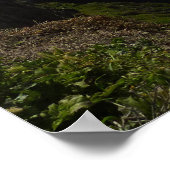 Foggy Anacapa Island op de Kanaaleilanden Poster (Hoek)