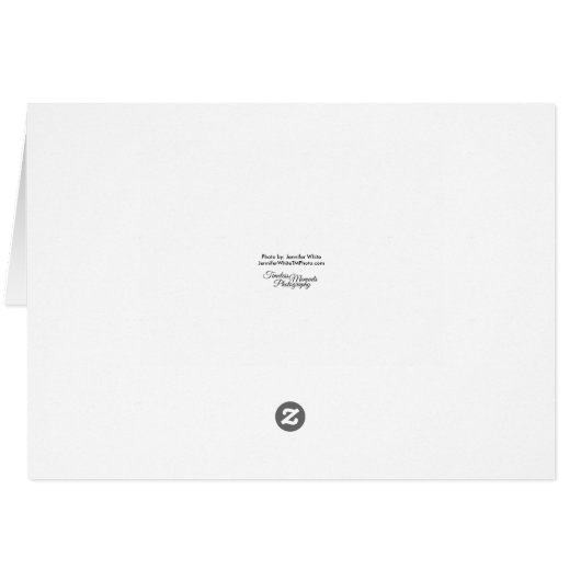 Foggy at Petit Jean - Hartelijk dank (Achterkant Horizontaal)