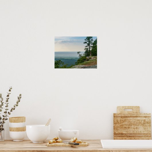 Foggy at Petit Jean Poster (Keuken)