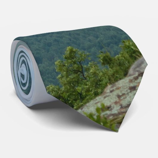 Foggy at Petit Jean Stropdas (Opgerold)