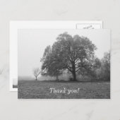 Foggy Autumn Morning Grayscale Briefkaart (Voorkant / Achterkant)