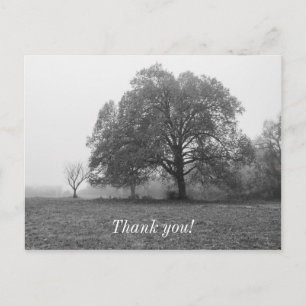 Foggy Autumn Morning Grayscale Briefkaart