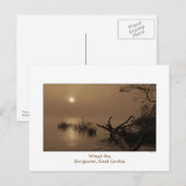 Foggy Bay Morning Briefkaart (Voorkant / Achterkant)