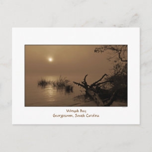 Foggy Bay Morning Briefkaart