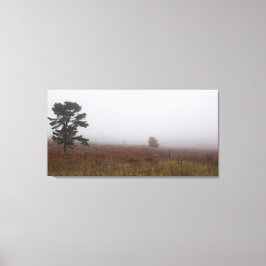 Foggy Big Meadows tijdens de Herfst, Virginia Canvas Afdruk