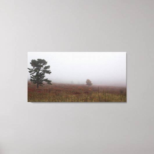 Foggy Big Meadows tijdens de Herfst, Virginia Canvas Afdruk (Voorkant)