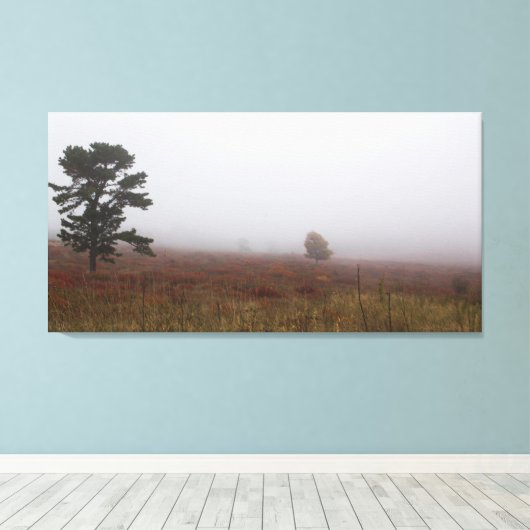 Foggy Big Meadows tijdens de Herfst, Virginia Canvas Afdruk (Insitu (Houten vloer))