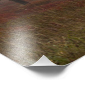 Foggy Big Meadows tijdens de Herfst, Virginia Foto Afdruk (Hoek)