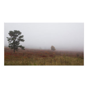 Foggy Big Meadows tijdens de Herfst, Virginia Foto Afdruk