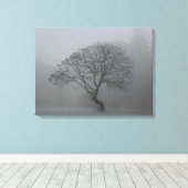 Foggy-boom Canvas Afdruk (Insitu (Houten vloer))
