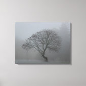 Foggy-boom Canvas Afdruk (Voorkant)