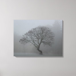 Foggy-boom Canvas Afdruk