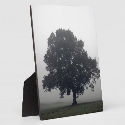 Foggy-boom Fotoplaat (Zijkant)