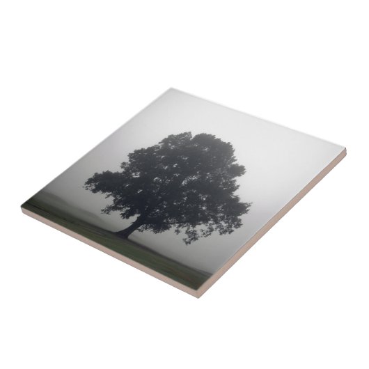 Foggy-boom Tegeltje (Zijkant)