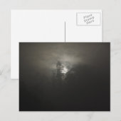 Foggy-bossen Briefkaart (Voorkant / Achterkant)