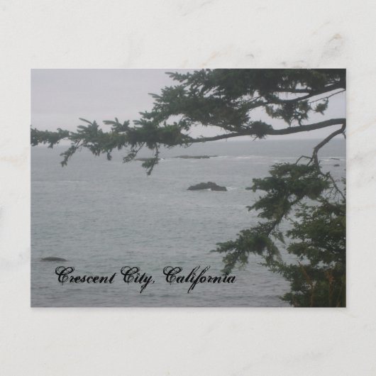 Foggy Day in Crescent City Briefkaart (Voorkant)