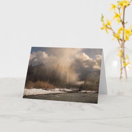 Foggy Day Kaart (Gele Bloem)