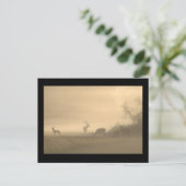 Foggy Elk Family Briefkaart (Staand voorkant)