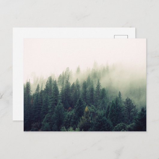 Foggy Forest Briefkaart (Voorkant / Achterkant)