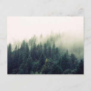 Foggy Forest Briefkaart