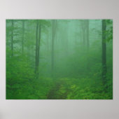 Foggy Forest Poster (Voorkant)