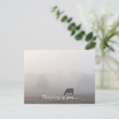 Foggy Grazing Briefkaart (Staand voorkant)